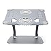 Stojak na Laptopa, Podstawka Pod Laptopa z 2 Wentylatorami Chłodzącymi, Regulowana i Ergonomiczna Podstawka Pod Laptopa ze Stopu Aluminium, Wentylator Chłodzący z(Głęboka kosmiczna szarość)