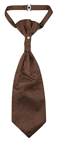 Image of Vesuvio Napoli PreTied ASCOT Solid PAISLEY Color Cravat Men's Neck Tie 21 Colors