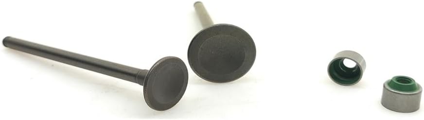 Valve Intake Stem Valve Kit Oil Seal For DIO 50 Z50 AF54 AF55 AF56 AF57 AF58 AF59 AF61 AF62 AF63 Z4