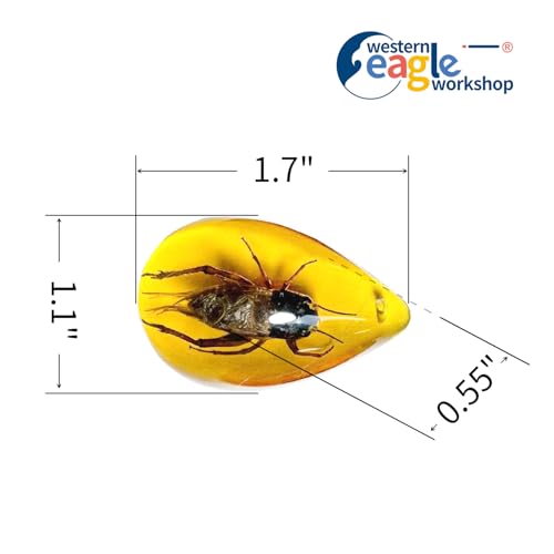 8pcs Amber Fossil with Insects Samples Stones Crystal Specimens Home Decorations Collection Oval Pendant