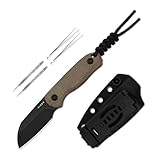 Kizer Drop Bear Fixed Blade Knife, 2.56