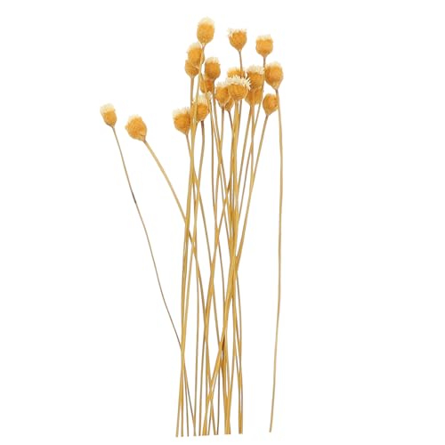 Cabilock 20pcs Diffuser Oil Refill Essential Oil Diffuser Sticks Scent Sticks for Home Air