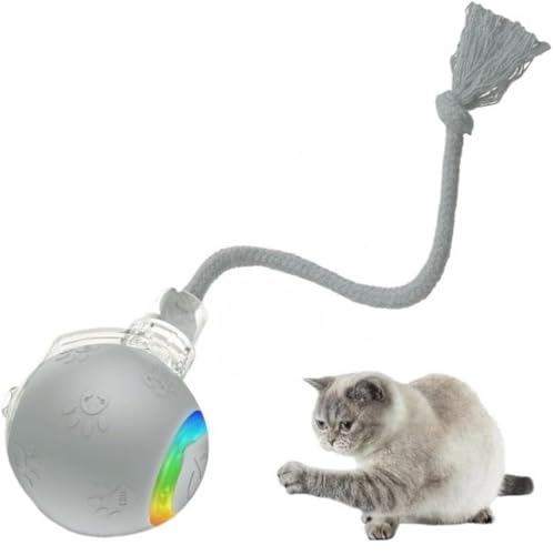 インタラクティブ キャットトイ 自動 ロングテール リアルな鳥の鳴き声 USB充電式 猫用おもちゃ 自動停止 タッチスタート 屋内 大人猫 活発な子猫 プレゼント ブルー レッド グレー 2段階速度 ねじ固定テール 狩猟遊び 運動不足解消 (グレー)