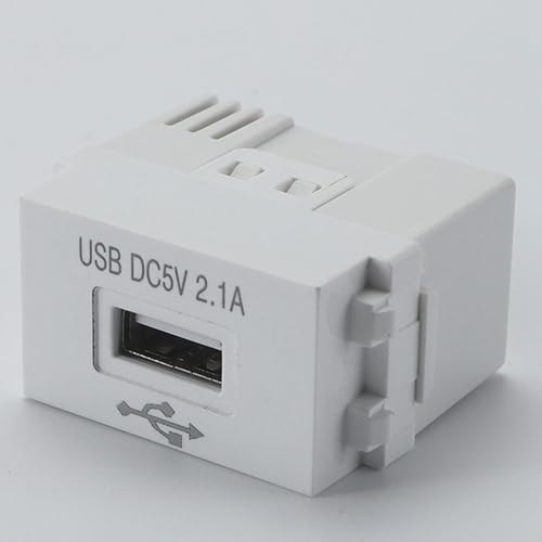 Iegefirm Handy-Ladepanel 220V-Buchse 5V-Transformator 2,1A USB-Ladesteckdose Schaltadapter 1 Stück