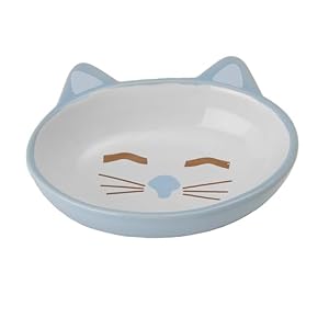 PetRageous 81026 Oval Frisky Kitty Stoneware Cat Bowl 5.5-Inch Wide and 1.5-Inch Tall Saucer with 5.3-Ounce Capacity and Dishwasher-Safe is Great for Small Cats or Large Cats, Blue