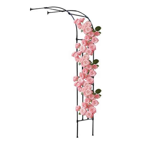 屋外用つる植物用ガーデンアーチ、金属製パーゴラトレリスアーバー、バラトレリスアーチ装飾、フラワーサポートアーバーアーバー、半面野菜植物アーチ(W150xH240CM(4.9x7.9ft))