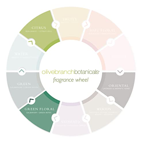 Gilchrist & Soames Olive Branch Shower Gel & Body Wash - 12Oz - Gently Cleansing, Zero Parabens, Sulfates, And Phthalates #TOP3