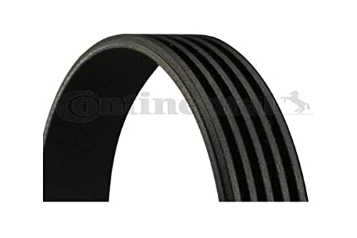 Continental Contitech 5PK1393 Courroie trapézoïdale à nervures