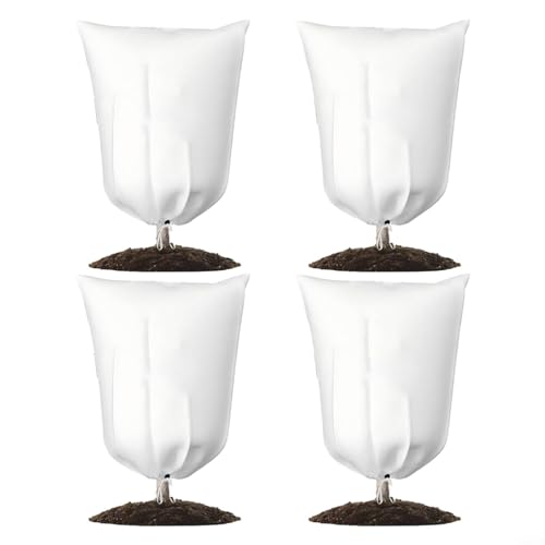Paquete de 4 cubiertas para plantas de clima frío, protección esencial para el invierno para tu jardín (60 x 80 cm)