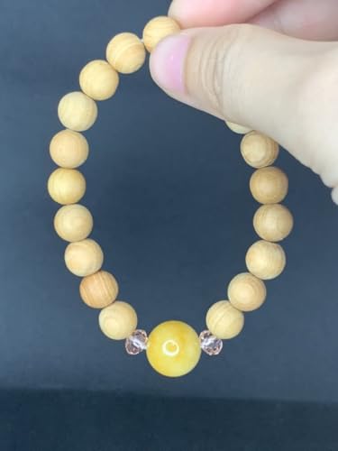 {ŐuXbg M VR{  ~}[Y i RNVi