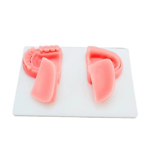 Image of Oral Suture Training Pad Set with 4 Dental Suture Pads for Dentical Nurse Suture Training。Dental Suture Practice Pad for Practic on Soft Gum Teeth。Dental Suture Pad，Gifts for Medical Students