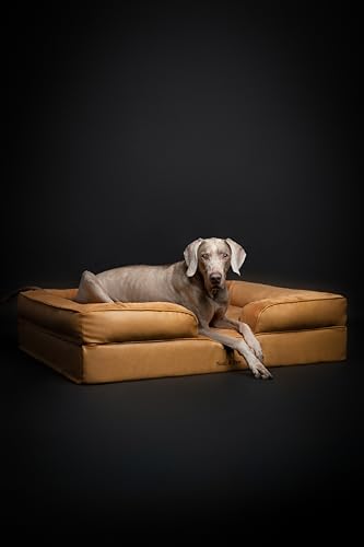 Image of NOAH & PAW XL Dog Bed, 45x35x11 Inch, Orthopedic Large Dog Beds, Eggshell Memory Foam Infused with Cooling Gel, Inner Cover, Water Resistant, Machine Washable (Faux Leather)