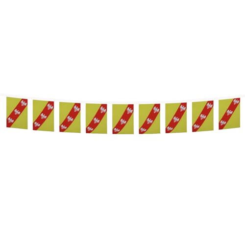 Image of AZ FLAG Lorraine 6 meters BUNTING Flag 20 flags 9'' x 6'' - French region of Lorraine STRING flags 15 x 21 cm