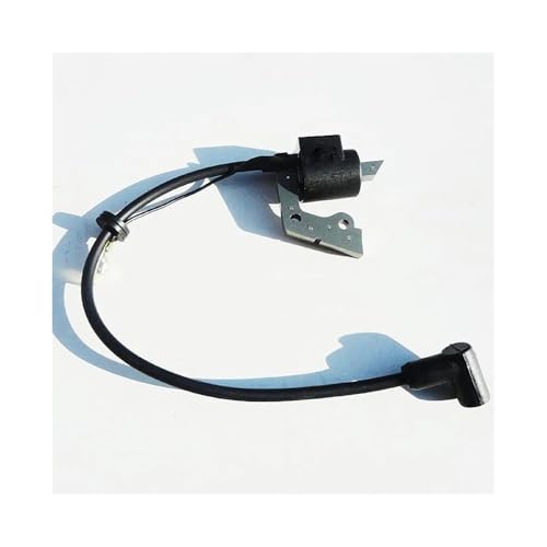 Bobine d'allumage pour réparer un moteur EU15 panne de démarrage thermique 226-70132-08