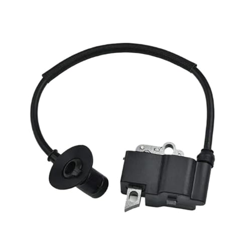 Bobine d'allumage résout panne moteur pour FS300 FS350 41344001301