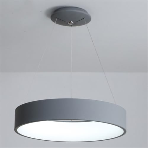 Suspension LED lustre anneau blanc design minimaliste luminaire plafond haut