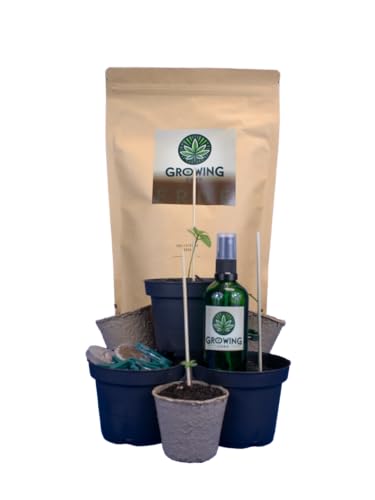 Growing Corp. Cannabis Anbau Starter-Kit/Set für drei Gras/-Weed Pflanzen inkl. Anbauanleitung und Zubehör 18-teilig