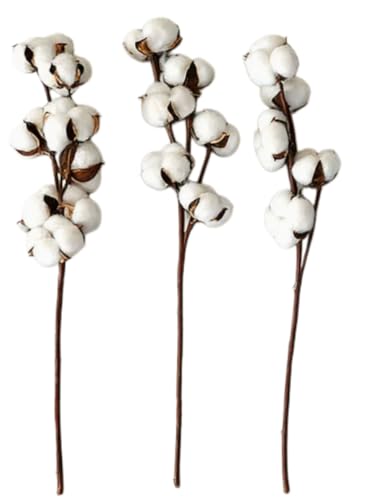 WOLKKAM ���ԃR�b�g���t�����[�A�h���C�t�����[�A�C���e���A�����A�ʐ^�B�e�p������A�����A�ƁA�X�܁A�u�[�P�A�������A�x���A10����p�b�N (5�w�b�h)