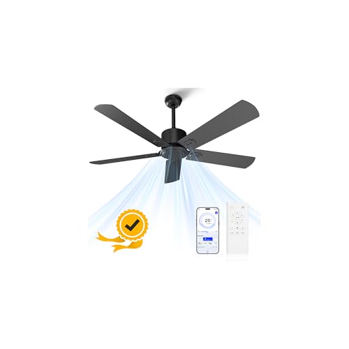 Obabala 52 Inch Ceiling Fan No Light, Outdoor Indoor Flush Mount Low Profile DC Motor Fan with Remote and APP, 5 Blades Reversible Silent Fan for Patio, Bedroom, Living Room, Garage, Black