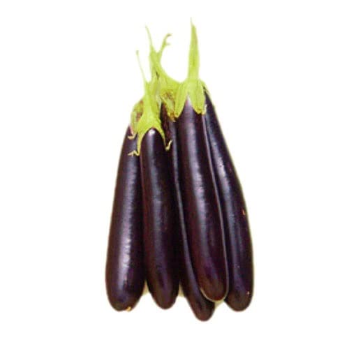 Brinjal Black Long Seeds Hybrids F1 Vegetable Seeds for Home Garden for Planting for All Season (100 seeds) By Zabbus (B0BJ2YYNGG) Amazon Price History, Amazon Price Tracker