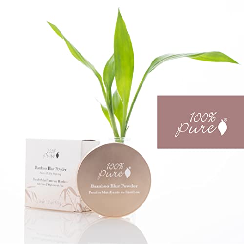 100% Pure Bamboo Blur Powder Tinted Setting Mattifying Face Makeup, Oil Absorbing Pore Minimizing Light Finish - Long Lasting, Vegan, Fruit Pigmented Translucent Color (Sheer) - 0.2 Oz #TOP3