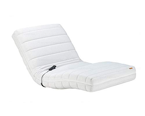 フランスベッド RP-1000W 電動リクライニングマットレス 電動マットレス リクライニングマットレス RP-1000DLX後継