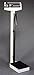 `Replacement Counterweights For Detecto Beam Scale # 6312 (mfg #439)