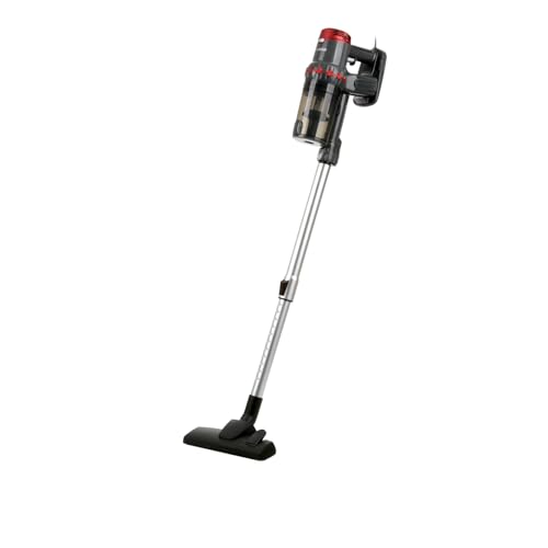 Escoba ciclónica gris/roja W400