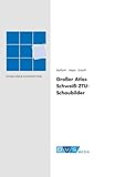  Großer Atlas Schweiß-ZTU-Schaubilder: Fachbuchreihe Schweißtechnik Band 110 (DVS Fachbücher)