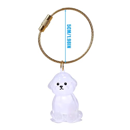 Navna Haustier-Schlüsselanhänger für Hundehaare oder Einäscherung von Asche, in robuster Box, Schlüsselanhänger, sentimentales Haustiergeschenk