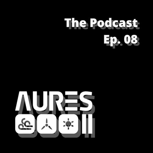 Episode 8: Roundtable on auctions outside Europe