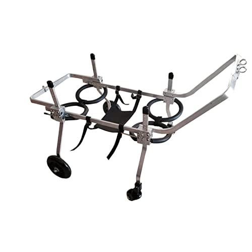 Silla De Ruedas para Perros Silla de ruedas Cover