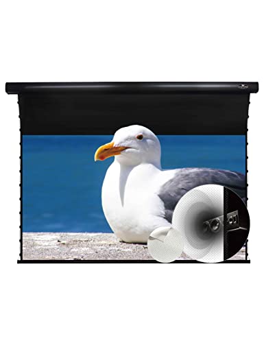 �X�N���[�� ���œ_�v���W�F�N�^�[ 120�C���` �V�݂莮 �z�[���V�A�^�[ VIVIDSTORM 4K 8K 3D UHD �d���h���b�v�_�E �e���V����16:9 ����p160 ���˃X�N���[�� �V�l�} ���e�p ��c ���� ���� �f�� ���[�r�[�V�A�^�[ �V���Ȃ�