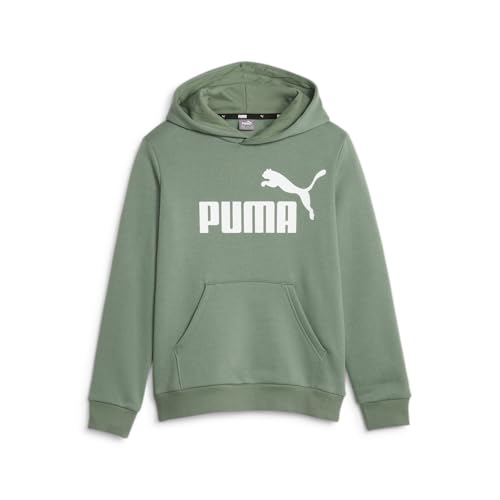 Image of Puma Boys Cotton Hooded Neck Sweatshirt