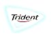 Trident Watermelon TW Bubble Gum, 1 Pound