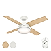 Hunter Fan 44 inch Contemporary Ceiling Fan with LED light kit and Remote Control included (Renewed)