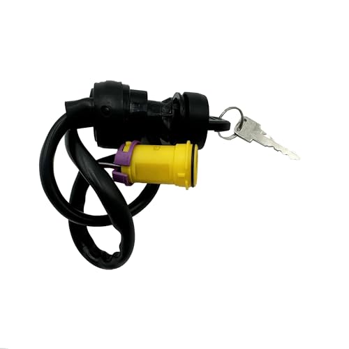 Interruptor encendido JS250 impermeable con referencia SSM5-51000-0 para quad 4