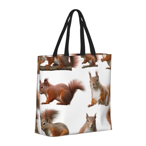 (Cute Squirrel) Large Reusable Tote Bag For Women Foldable Washable Shoulder Bag For Shopping Beach Travel Gym Work2
