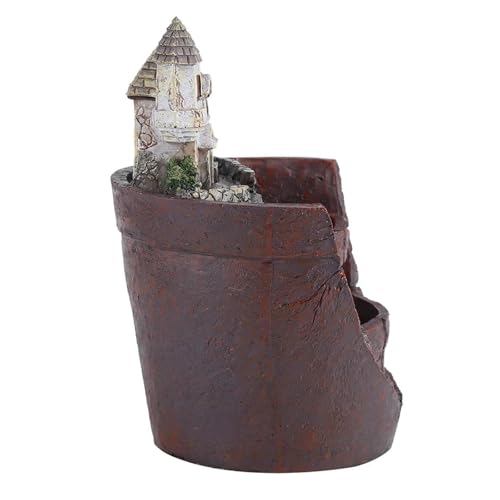 Pots de fleurs succulentes pour décorer un bureau moderne