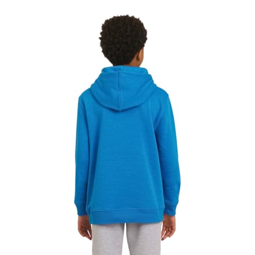 Image of Champion boys Graphic Hoodie Pullover Sweatshirt for Kids With Stylish Embellishments