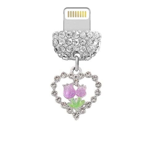 Port de charge USB cristal évite les pannes de charge de votre iPhone