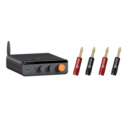 Amplificateur de puissance stéréo Fosi Audio BT20A Max fiches bananes