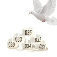 03鳩ページ 61VJlNpvTOL._UF894,1000_QL80_.jpg