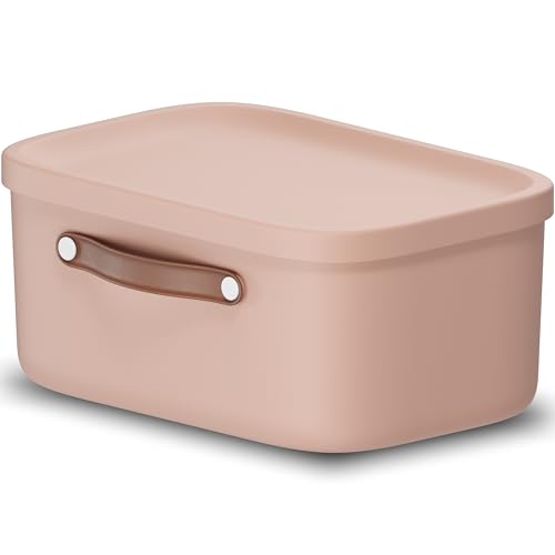 Rotho Maloja Scatola di stoccaggio 12 l, Plastica (PP riciclato), 12 (39.5 x 26.5 x 17.7 cm)