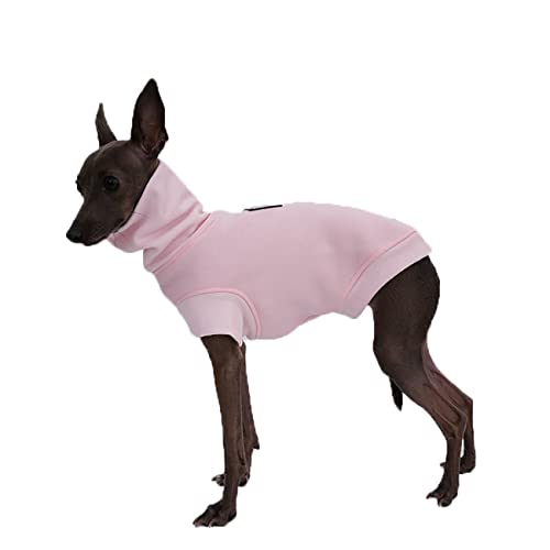 KJOET  p[X C^O g ybg hbOEFA Rbgn ^ pR[g p[J[ U AEghA (M, sN)