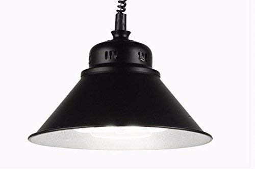 Éclairage extérieur et intérieur LED suspension plafonnier lustre noir 30W