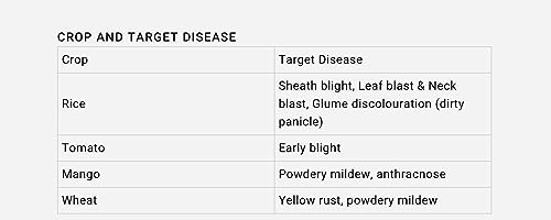BAYER NATIVO SYSTEMIC FUNGICIDE (1KG)
