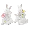 Braxio easter bunny family figurine decoration bunny collectible figurines for easter decorationspringwedding set of 2  urban country home decor