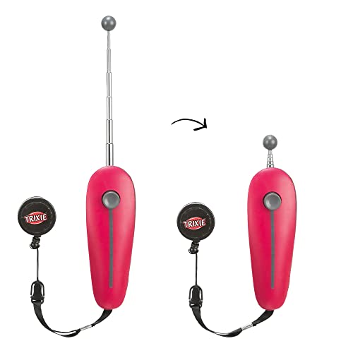 2 Stück Target Stick mit Klicker im Set