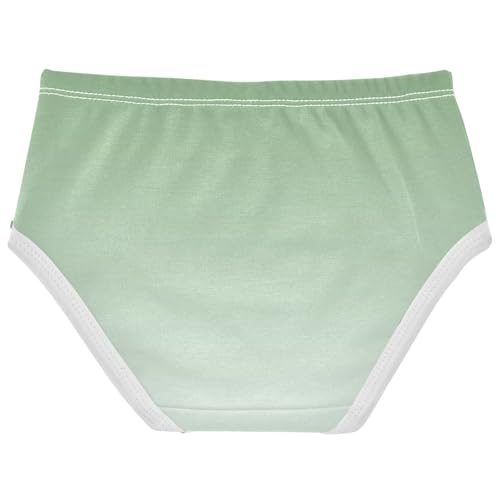 Joisal Toddler Underwear Floral 2t Cotton Girl Panties Cute Artistic Briefs Girls Undies Dinosaur Green Mint Cream Gradient2